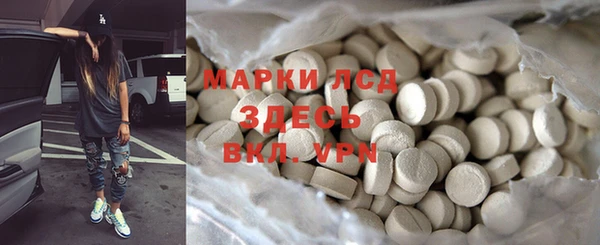 ГАЛЛЮЦИНОГЕННЫЕ ГРИБЫ Новозыбков