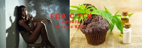 гашик Гатчина