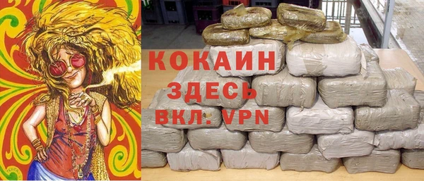 ГАЛЛЮЦИНОГЕННЫЕ ГРИБЫ Новозыбков