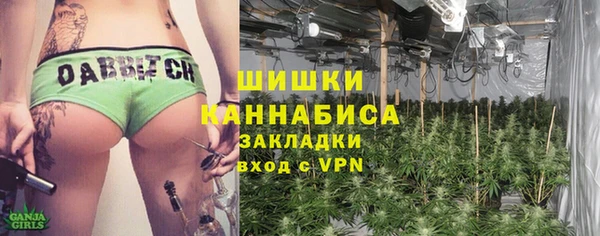 ГАЛЛЮЦИНОГЕННЫЕ ГРИБЫ Новозыбков