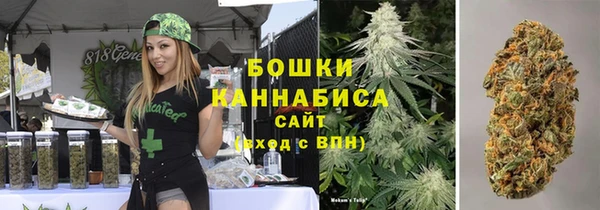 мет Няндома