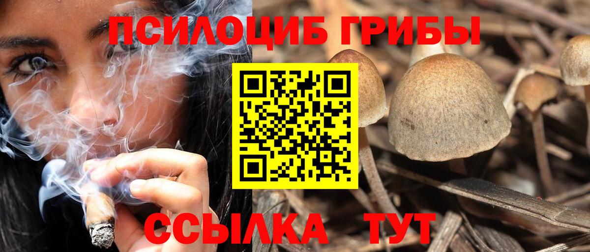 Лсд 25  ГАШ  Конопля  КОКАИН  Ртищево  Мефедрон   МДМА  Вход с VPN 