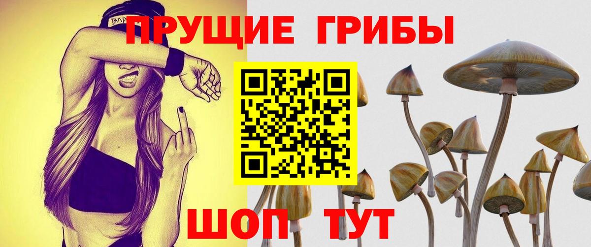 Галлюциногенные грибы GOLDEN TEACHER Ртищево